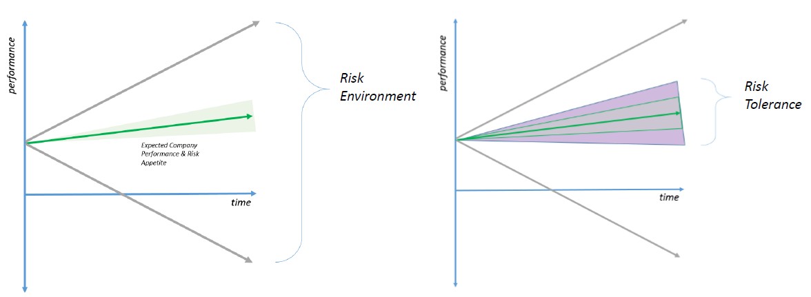 Risk Appetite Vs Risk Tolerance Example