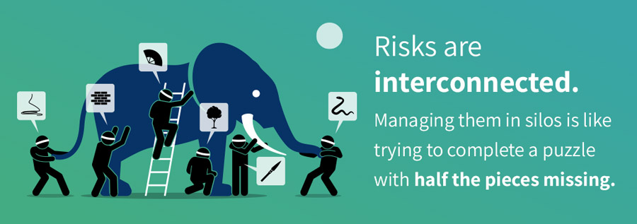 The elephant problem of risk management.